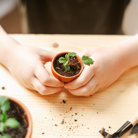 Activitati educationale de primavara pentru copii mici, parenting pozitiv, educatia timpurie, timp parinte-copil, copii responsabili