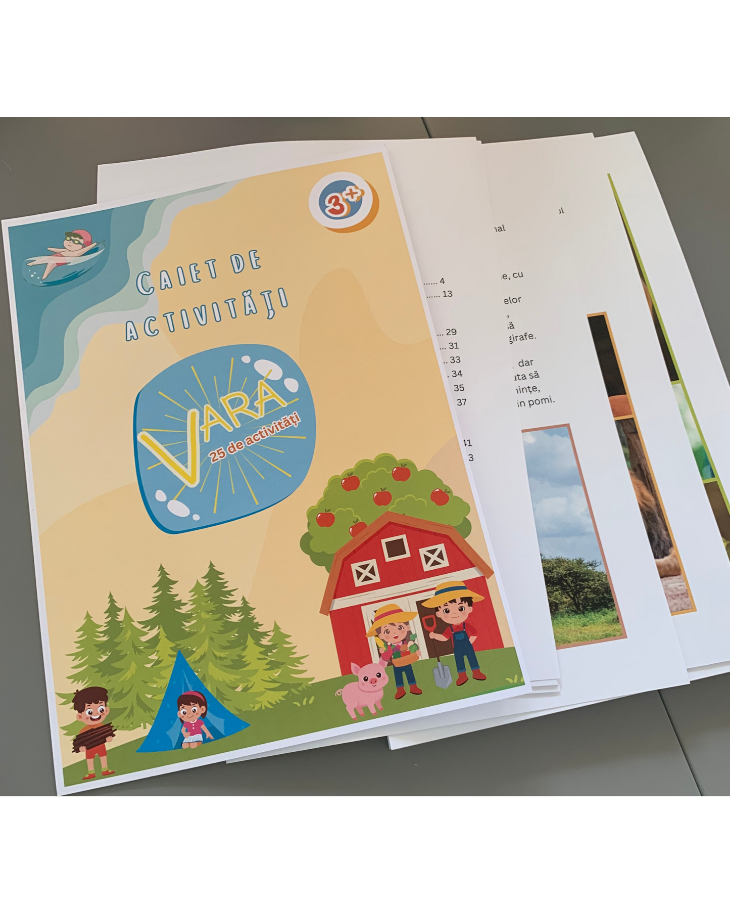 Caiet de Activități - Vara