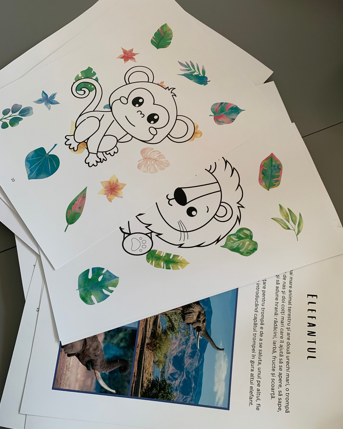 Caiet de Activități - Vara