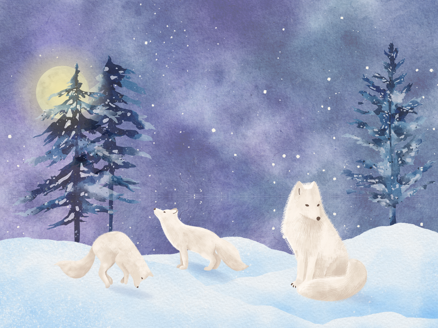 Tablou Camera Copiilor - Vulpea Argintie (Digital)